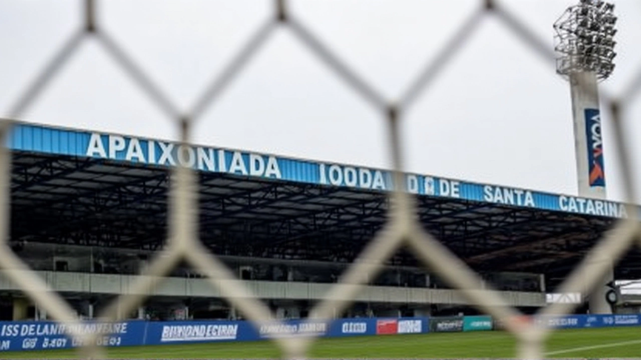 Botafogo-SP e Avaí empatam em 0 a 0 na última rodada da Série B; time paulista é rebaixado
